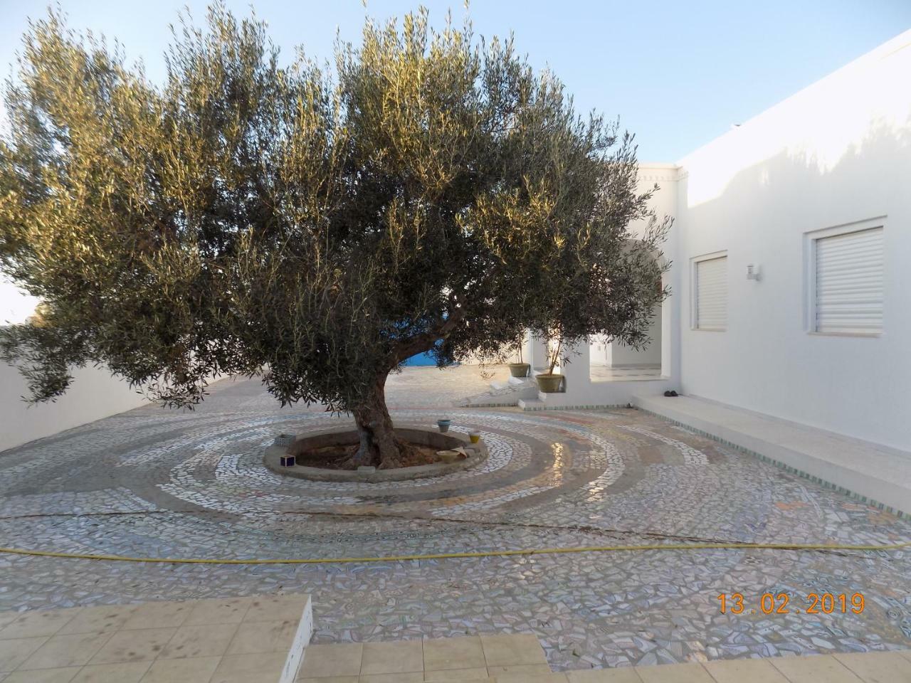 Dar Mamina Bed & Breakfast Sidi ash Shammakh Exterior photo