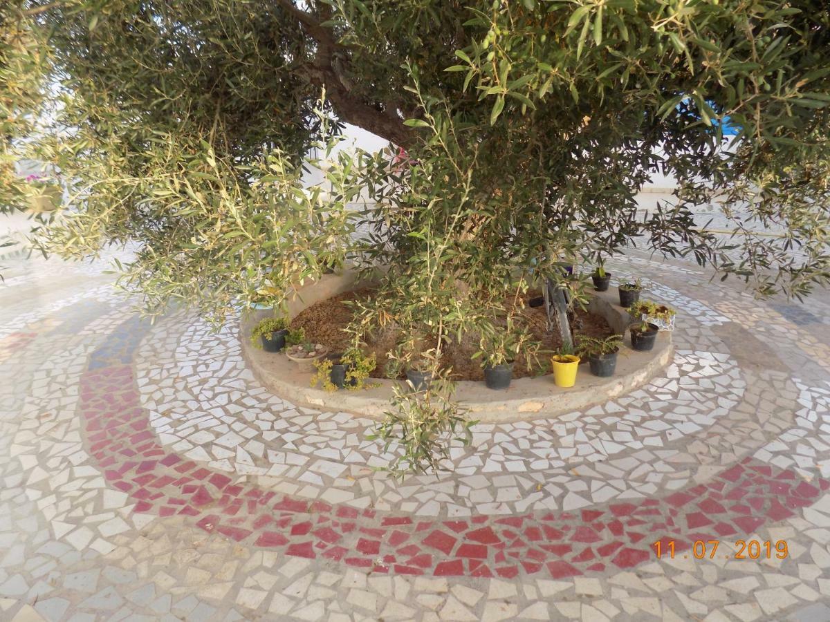 Dar Mamina Bed & Breakfast Sidi ash Shammakh Exterior photo